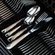 Набір столових приладів 12 персон/48 предметів Cutlery Set (ложки, вилки, ножі) Хром (чистий) + Золото (рифлення) 542995 фото 9