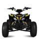 Дитячий електроквадроцикл Bambi Racer E-FOX-1450-6 60V 1450W Жовтий 618501 фото 14