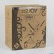 Дитяча прогулянкова коляска-книжка JOY Liliya 10105, алюмінієва рама, футкавер 586281 фото 9