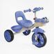 Велосипед-велобіг 2 в 1 Best Trike BS-60811 дитячий універсальний 554157 фото 1