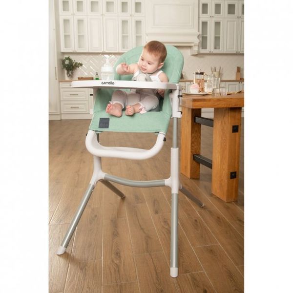 Стульчик для кормления CARRELLO Indigo CRL-8402 Ash Green, зеленый 462682 фото