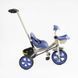 Велосипед-велобіг 2 в 1 Best Trike BS-70362 Дитячий триколісний 554160 фото 2