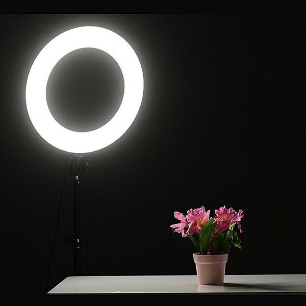 Комплект блогера Ringlight кольцевая лампа LED S31 30см 16W со штативом 2м + Bluetooth пульт 441001 фото