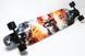 Лонгборд Freeriding "Fire Skull" 6469 фото 1