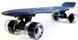Penny Board "Fish" Spice. 3380 фото 3